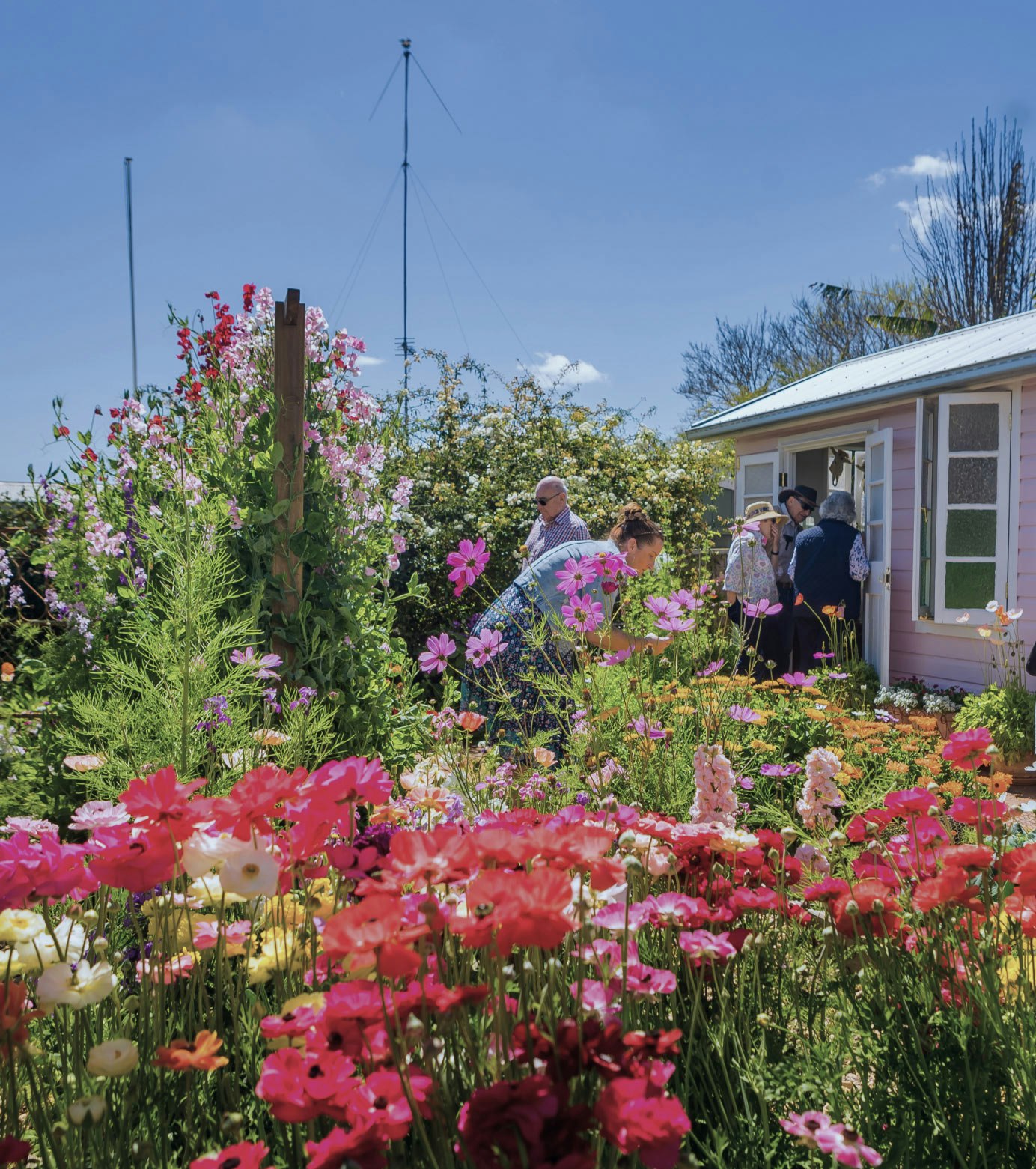 FERTILISER FOR
YOUR GARDEN